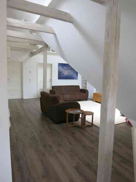 Wohnung mit offener Küche in Wohnzimmer